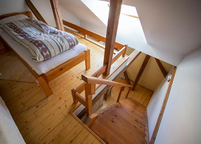 Hortensia טאלין